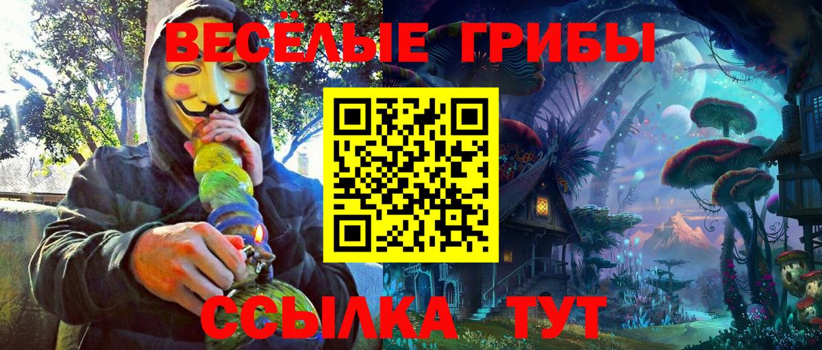 Псилоцибиновые грибы Magic Shrooms  Вход с VPN  Чехов 