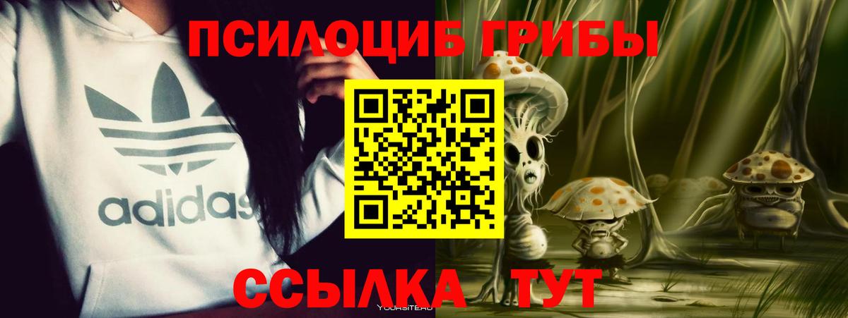 Галлюциногенные грибы Cubensis Чехов